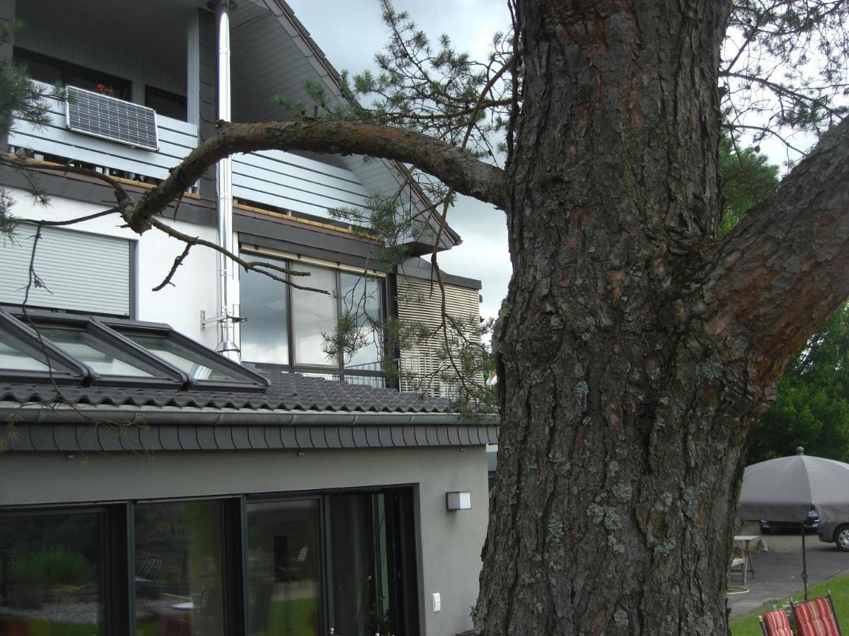 Ferienwohnung Alter Weinberg Saarburg Buitenkant foto